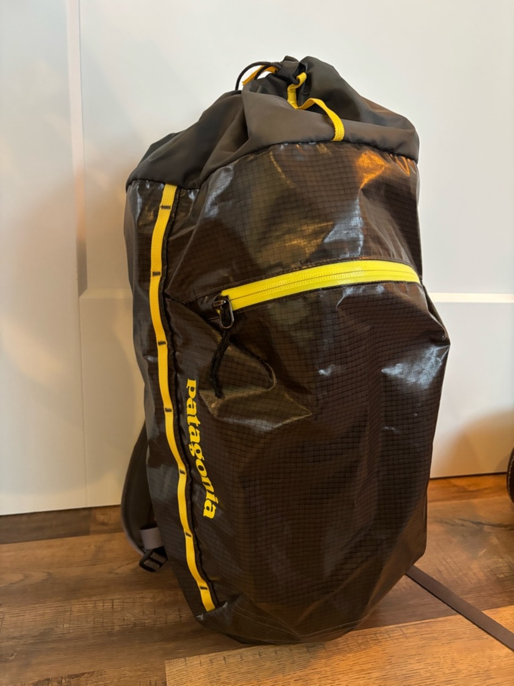 Patagonia 20L Backpack